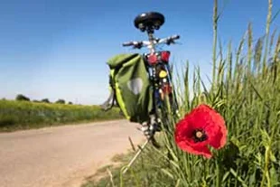 Fahrrad am Wegrand