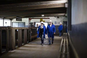 Über wachsende Besucherzahlen freut man sich im Sauerländer Besucherbergwerk.