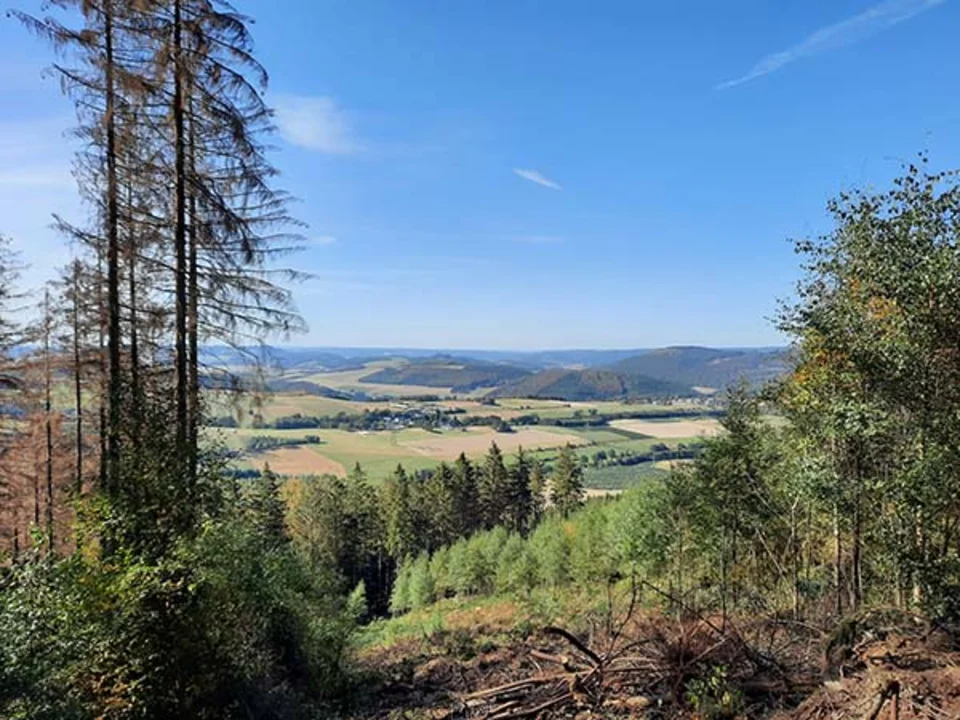 Impressionen von der Wanderwoche auf dem Bestwiger Panoramaweg.