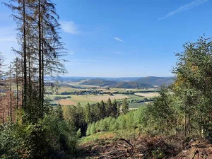 Impressionen von der Wanderwoche auf dem Bestwiger Panoramaweg.